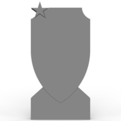 Профессиональный №025